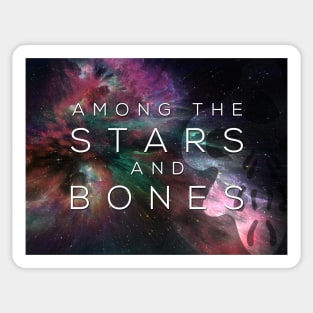 Among the Stars and Bones Banner 2 image Sticker